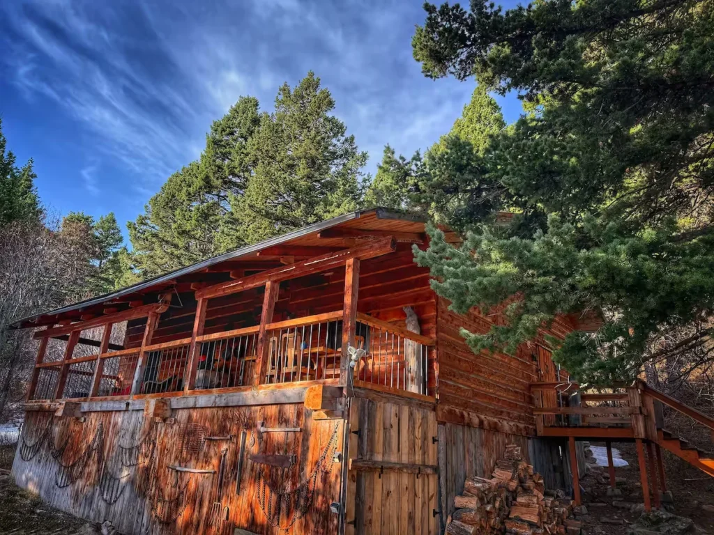 Rustic log cabin with a raised wooden porch surrounded by pine trees