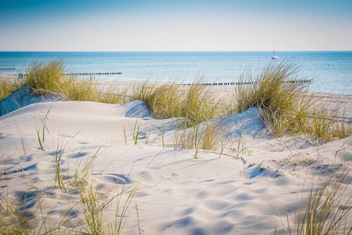 Cape Cod in the Winter Featured Image