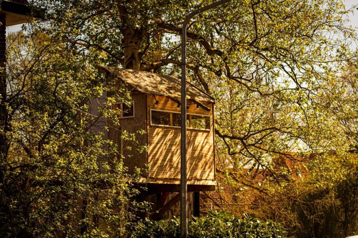 Treehouse rentals in Arkansas Featured Image