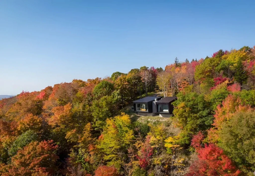 Aerial view of a black modern cabin nestled in dense red and yellow fall trees