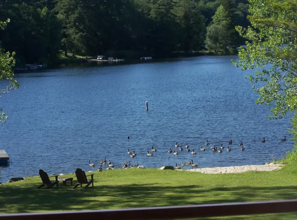Gorgeous lake view at Goose Pond (lake). Clean swimmable, beautiful, private
