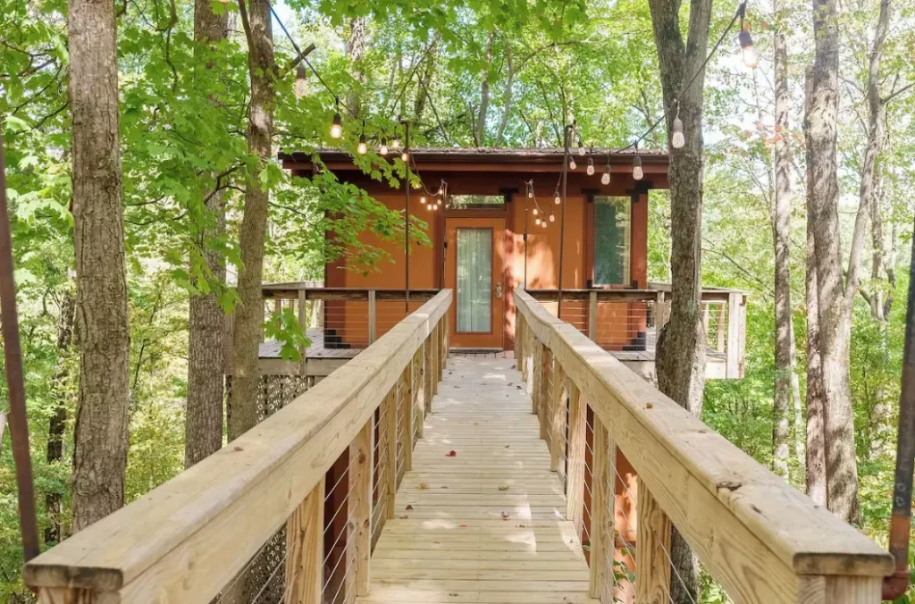 Exterior design of the cabin