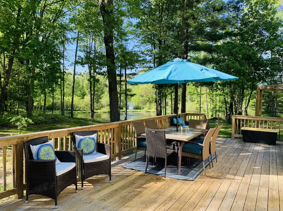 Patio Area overlooking pond/firepit