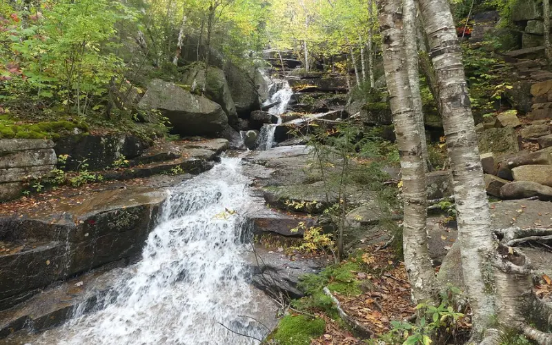 A cascading waterfall flows through the forest in White Mountain National Forest.