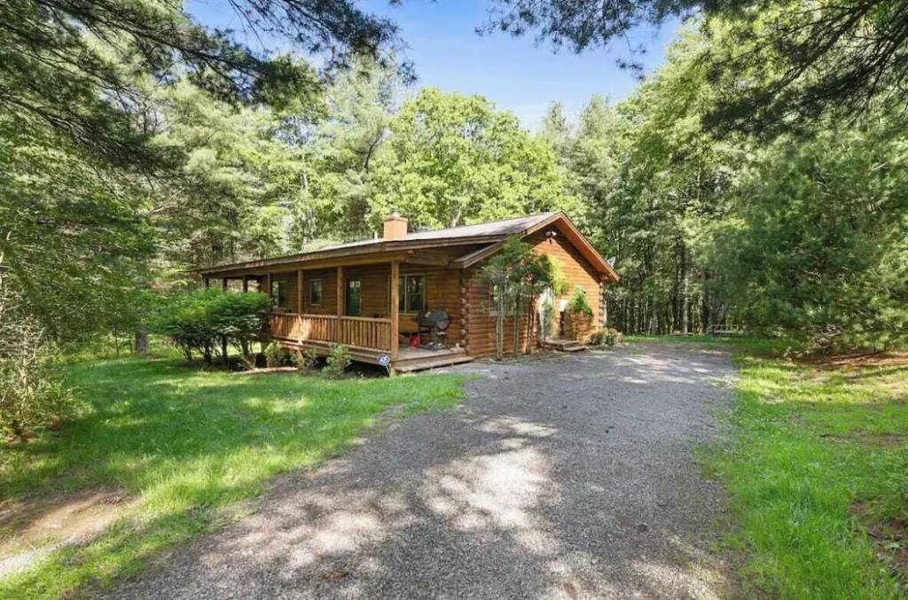 Exterior design of the cabin