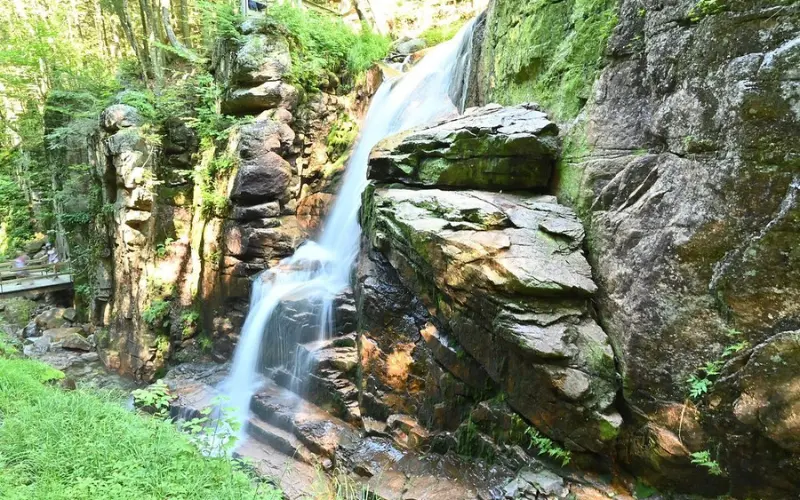 Water rushes down a rocky waterfall surrounded by lush greenery at Flume Gorge.