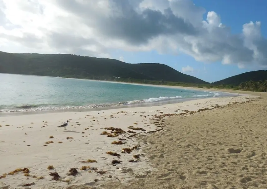Playa Flamenco Area de Acampar
