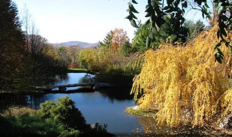 Cold Spring
