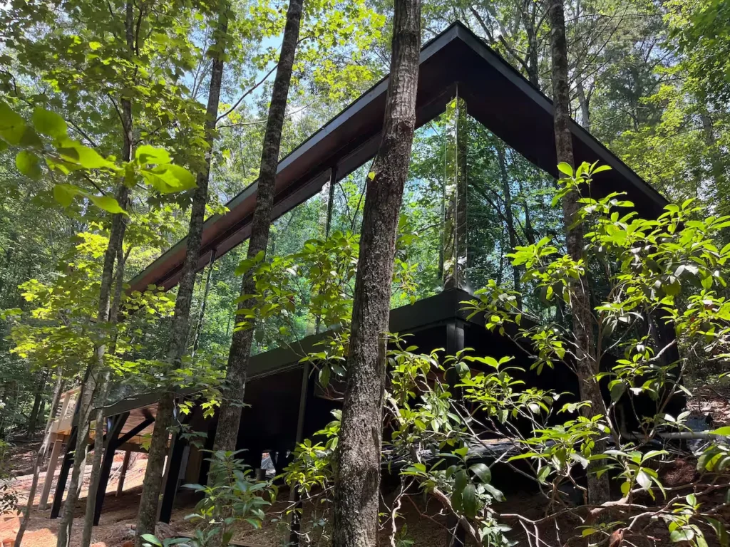 Modern black frame glass cabin tucked into a dense green forest