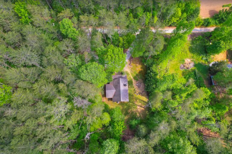 13 Cabin Rentals in Mountains My Global Viewpoint