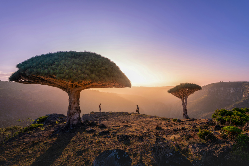 Sunset on Socotra Island