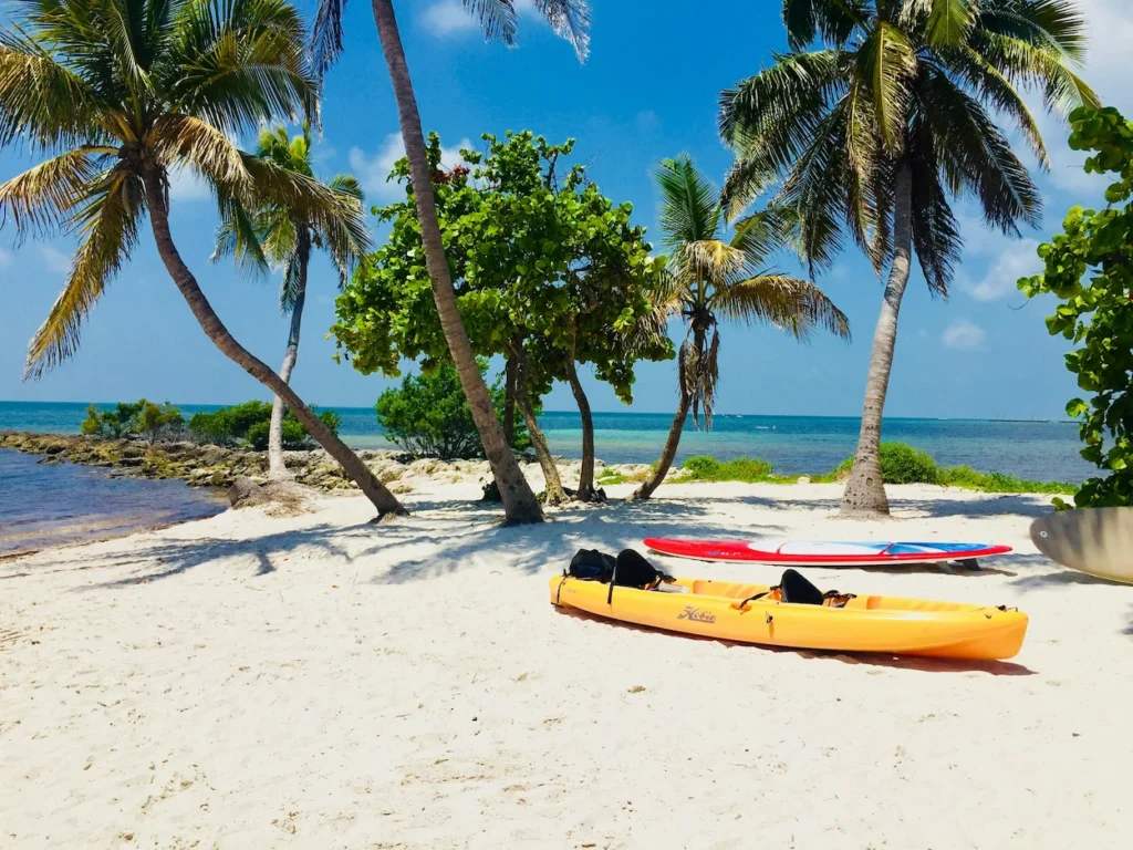 A yellow kayak and red paddleboard resting on a sandy beach under palm trees in the Florida Keys