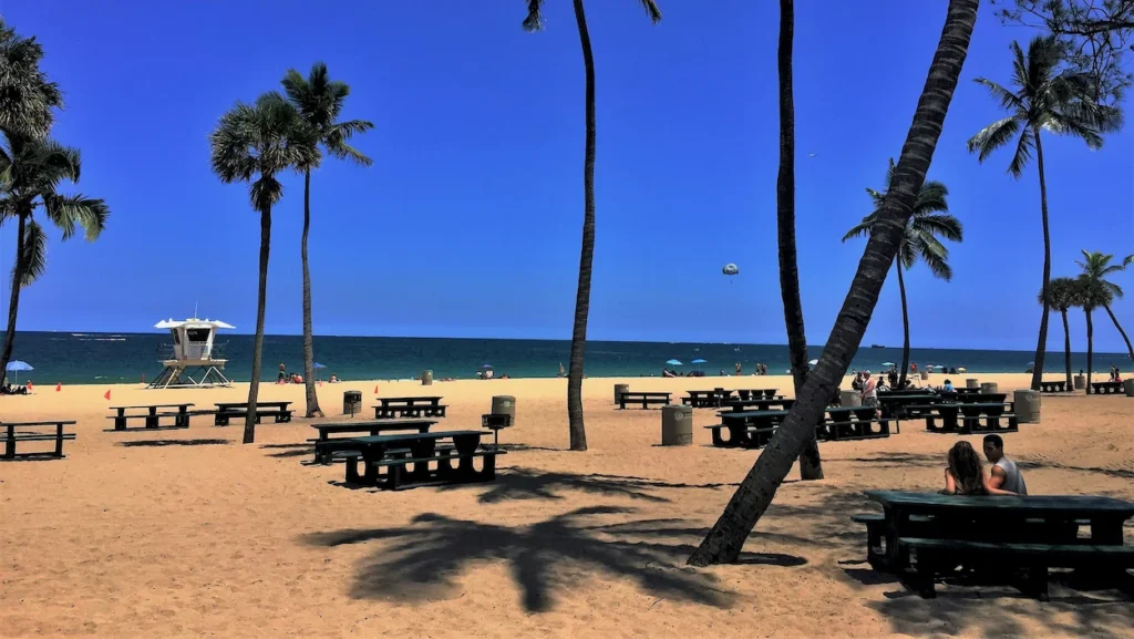 A beach picnic area with wooden tables, palm trees, and a lifeguard tower in Fort Lauderdale, Florida