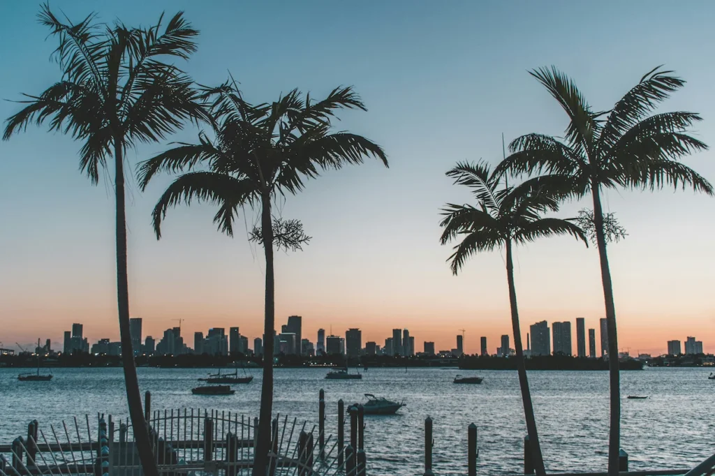 The Miami skyline silhouetted across Biscayne Bay behind palm trees at sunset