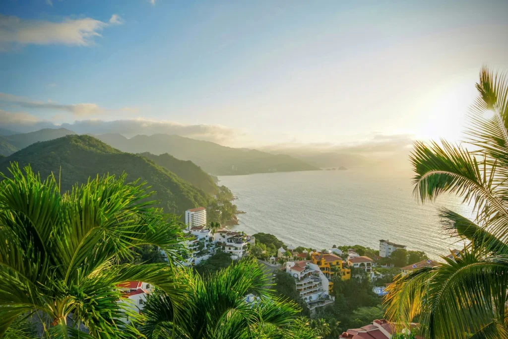High-angle view of a coastal hillside city with buildings, mountains, and the ocean framed by palm trees