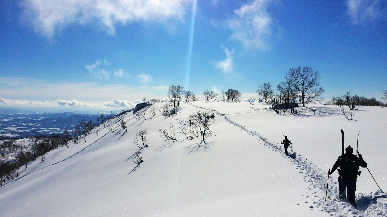 New Chitose is the gateway airport for skiing in Niseko and exploring Hokkaido's national parks.