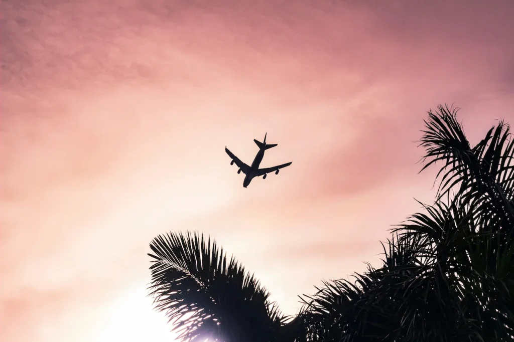 Silhouette of an airplane flying overhead through a pink sunset sky above palm trees