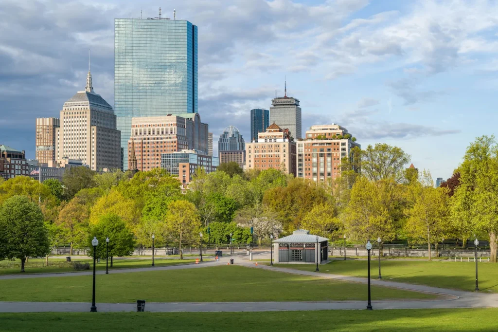 The Boston skyline rising behind the green lawns and trees of Boston Common
