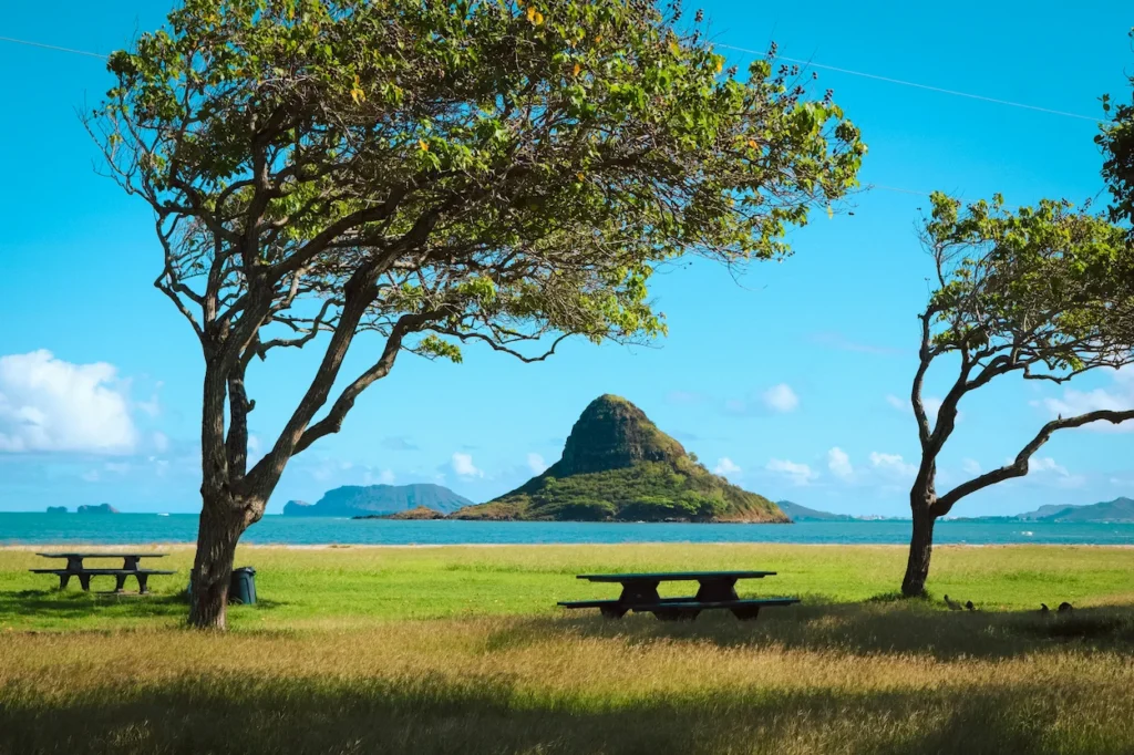 Mokolii Island seen from a grassy park with picnic tables on Oahu