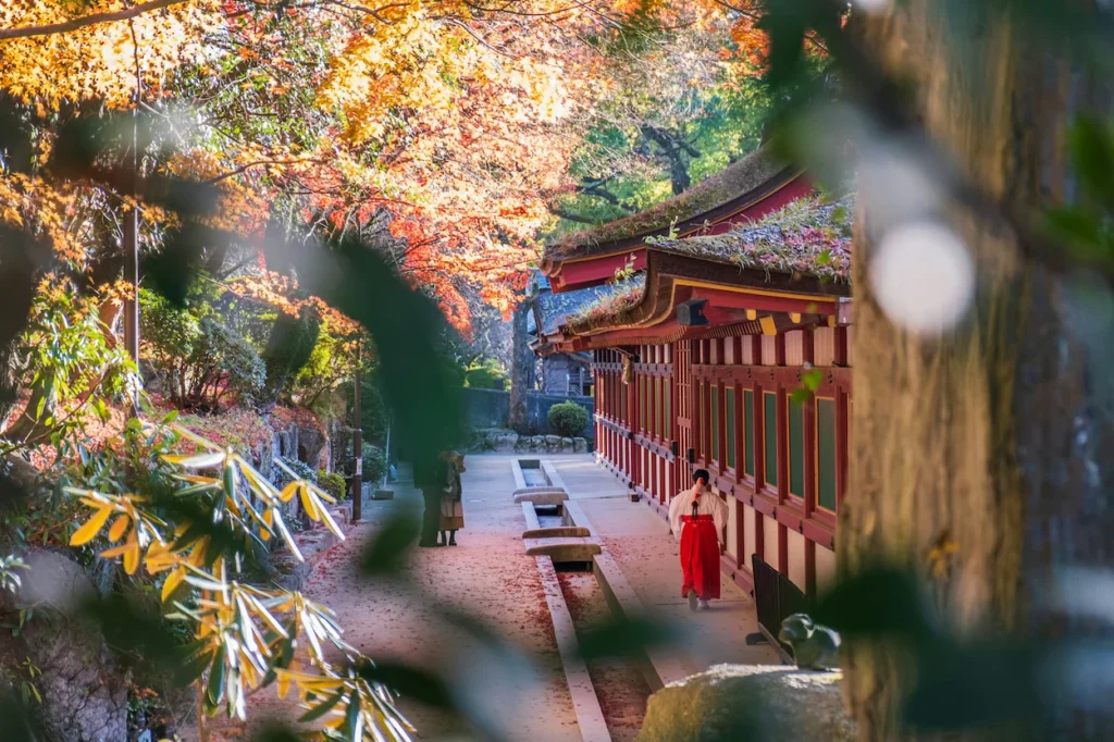 Dazaifu Tenmangu Shrine under autumn maple leaves