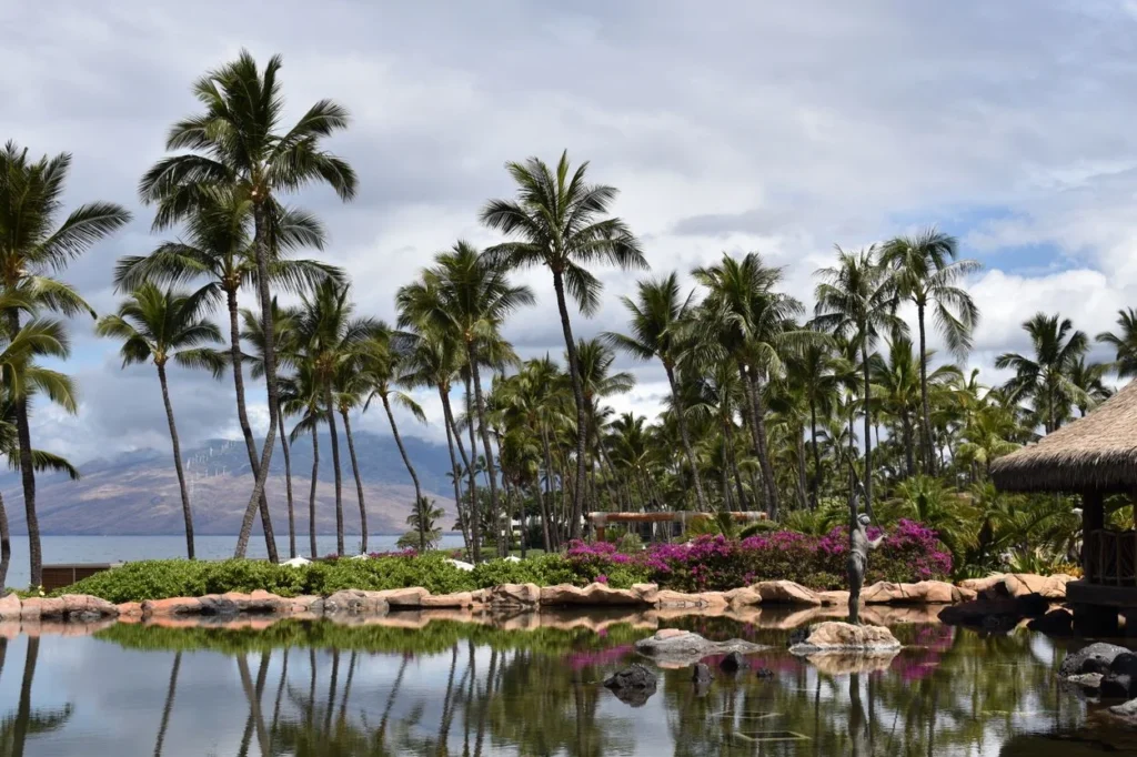 A tropical resort garden with palm trees and a reflection pool in Maui, Hawaii