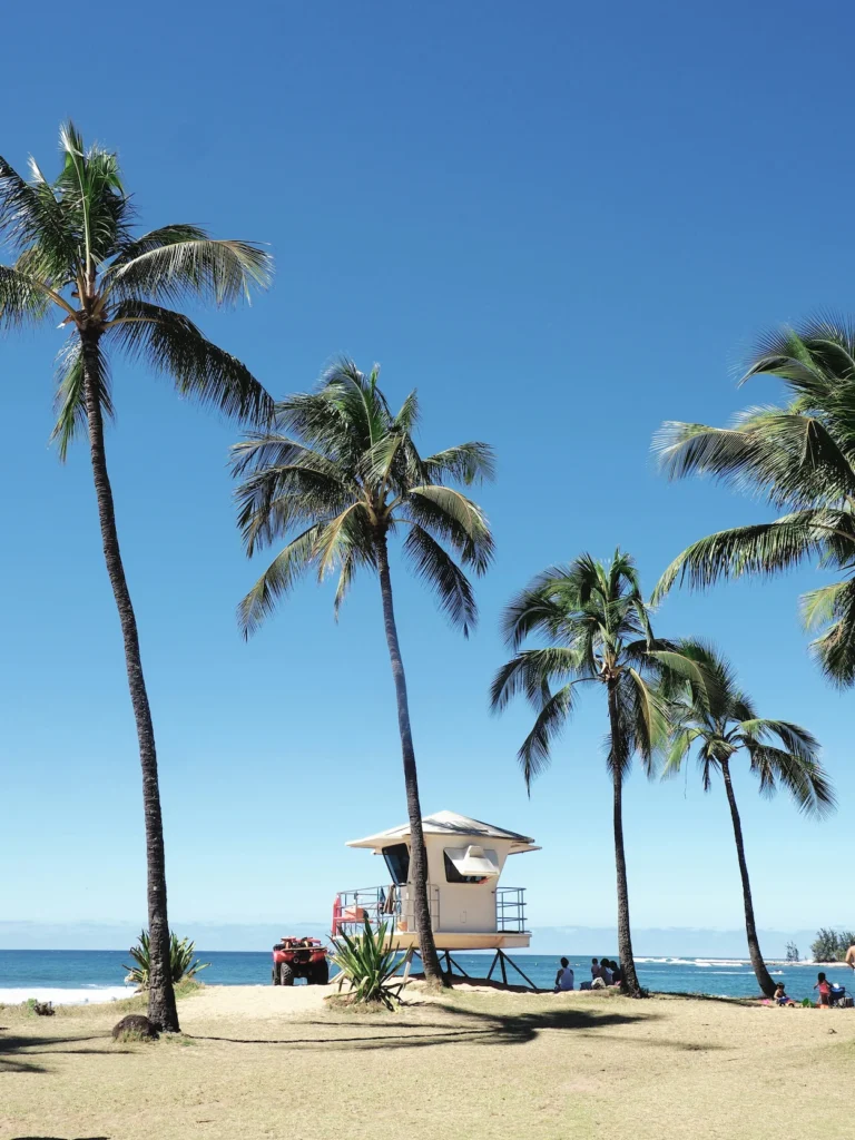 Tall palm trees and a white lifeguard tower on a sandy beach under a clear blue sky