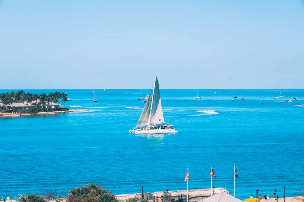 A white sailing catamaran cruising on bright blue water near a coastline with palm trees