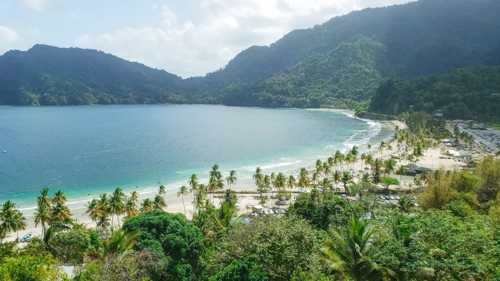 Aerial view of palm-lined Maracas Beach in Trinidad