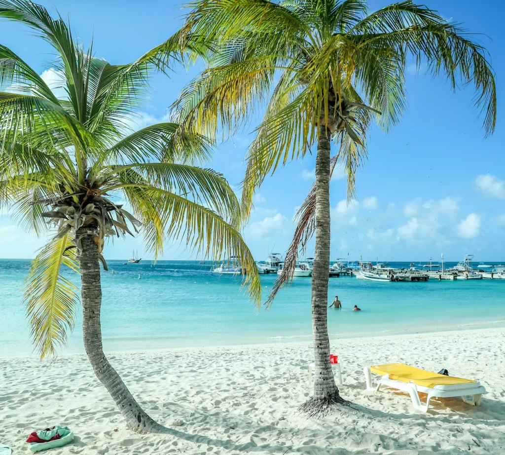 Palm trees framing a white sand beach with boats anchored in the turquoise water of Aruba
