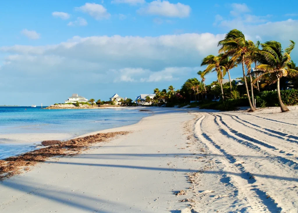 Sandy shoreline of Pink Sands Beach in the Bahamas