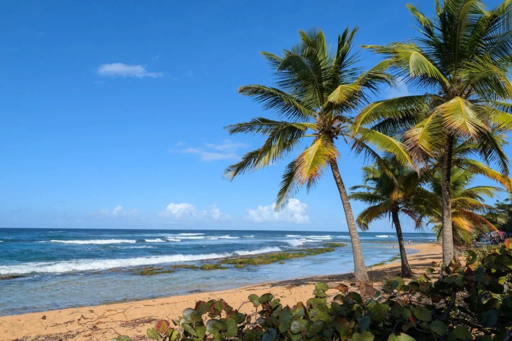 Palm trees swaying over the sandy shore of Piñones Beach in Puerto Rico