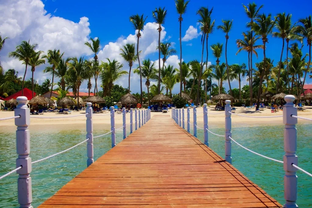 A wooden pier leading toward a sandy beach lined with tall palm trees and thatched umbrellas