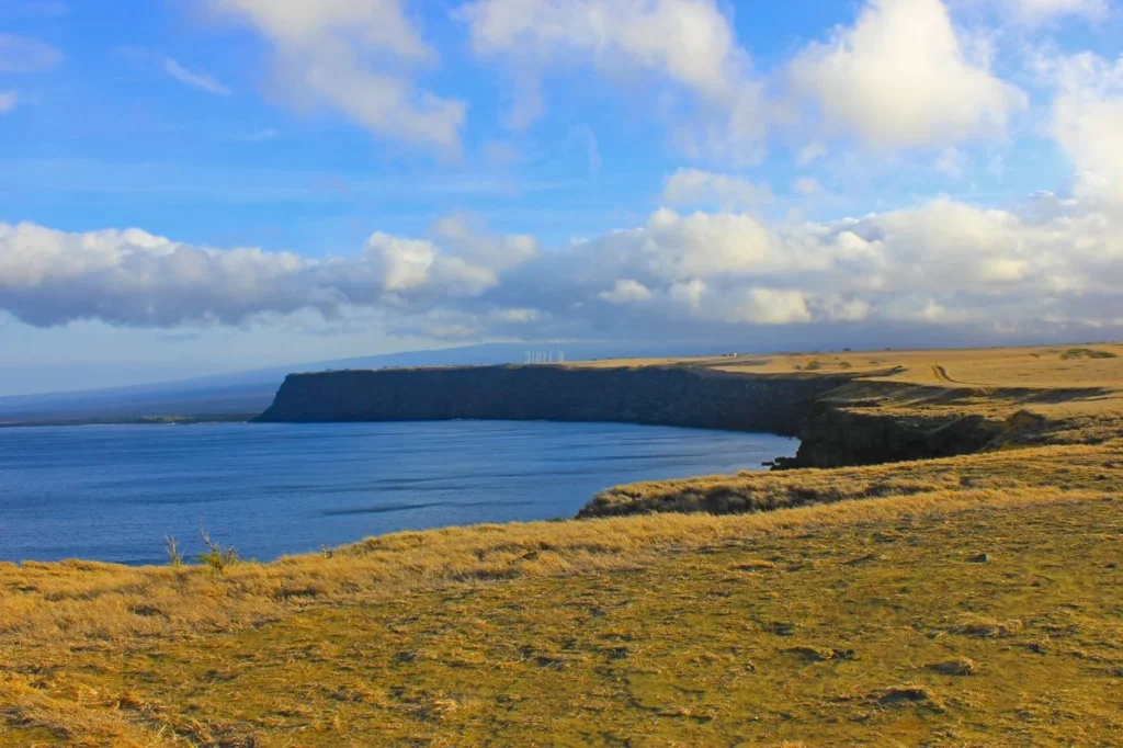 The grassy coastal cliffs of South Point in Hawaii looking out over the ocean