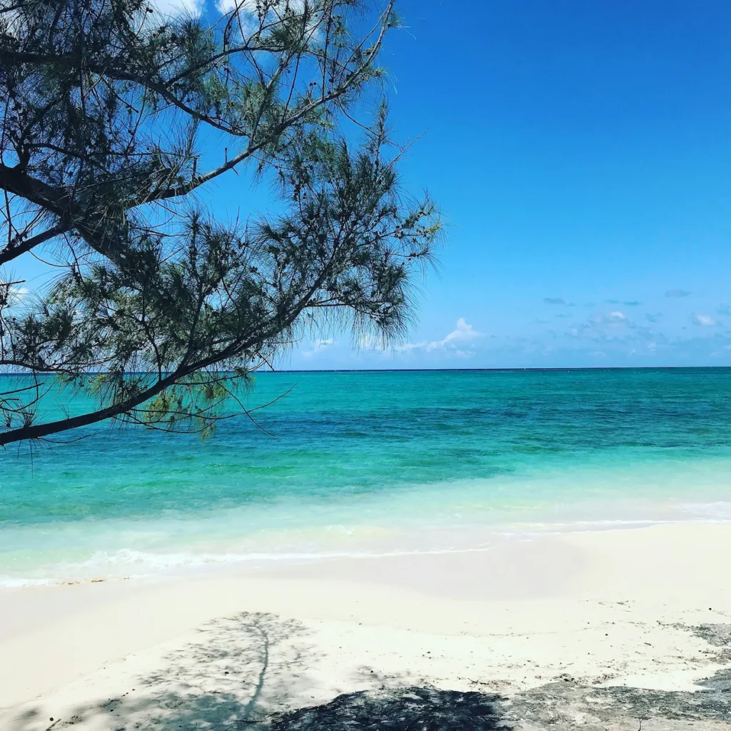 Cabbage Beach shore with turquoise ocean water under a bright blue sky