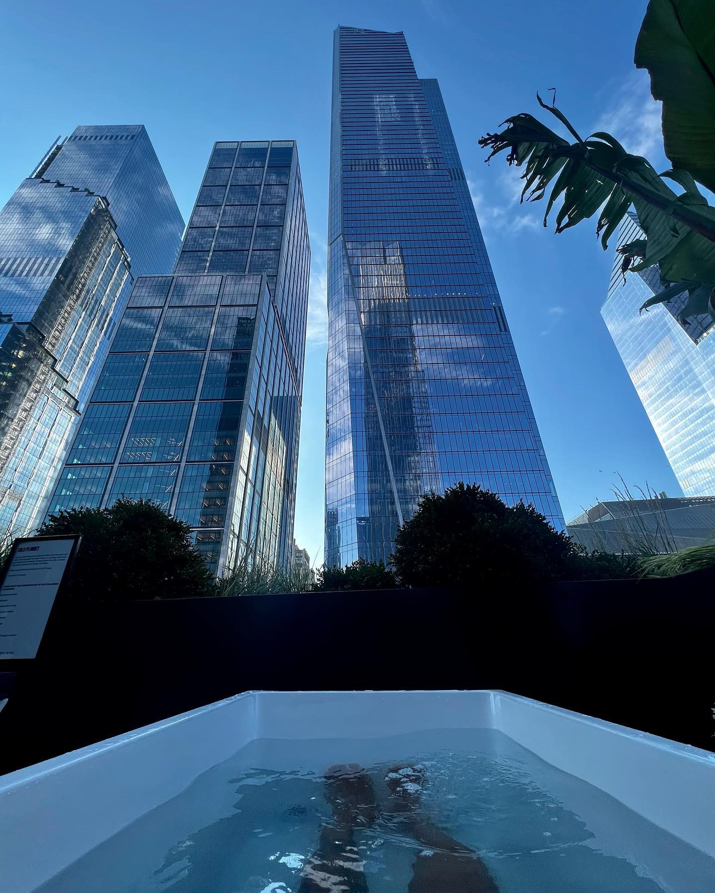 The Cold Plunge Review (by PLUNGE) Global Viewpoint