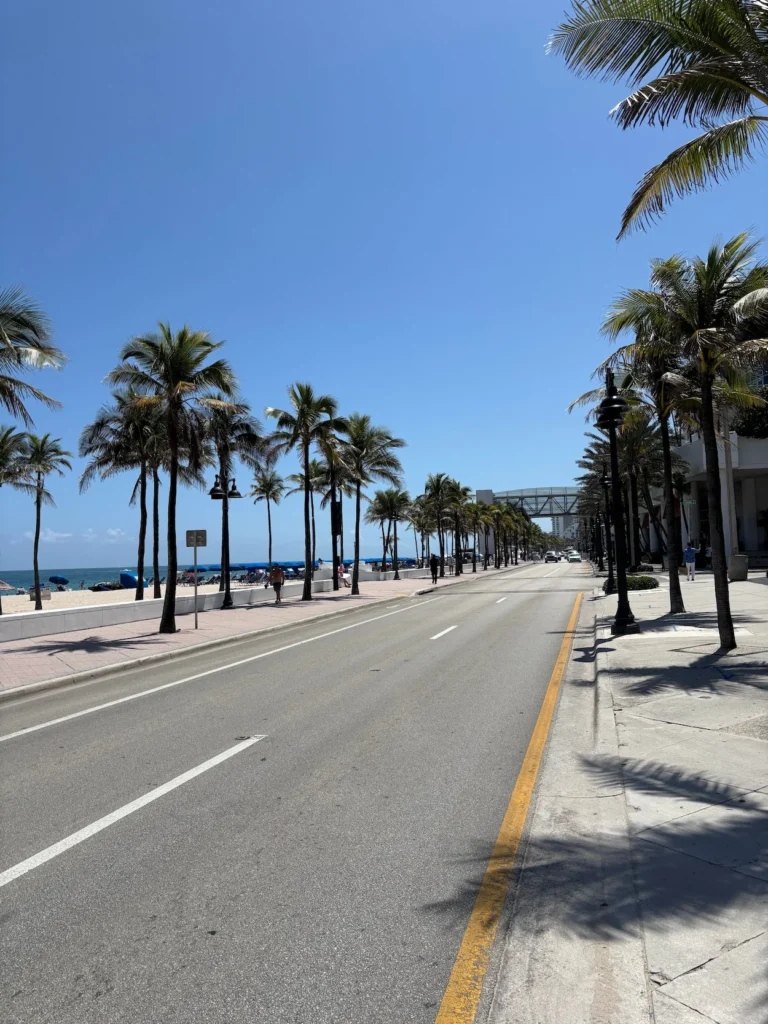 A sun-drenched coastal road lined with tall palm trees adjacent to a sandy beach