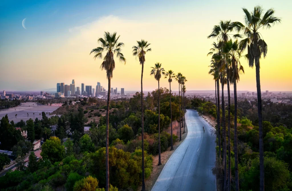Downtown Los Angeles skyline silhouetted against a colorful sunset view from Elysian Park