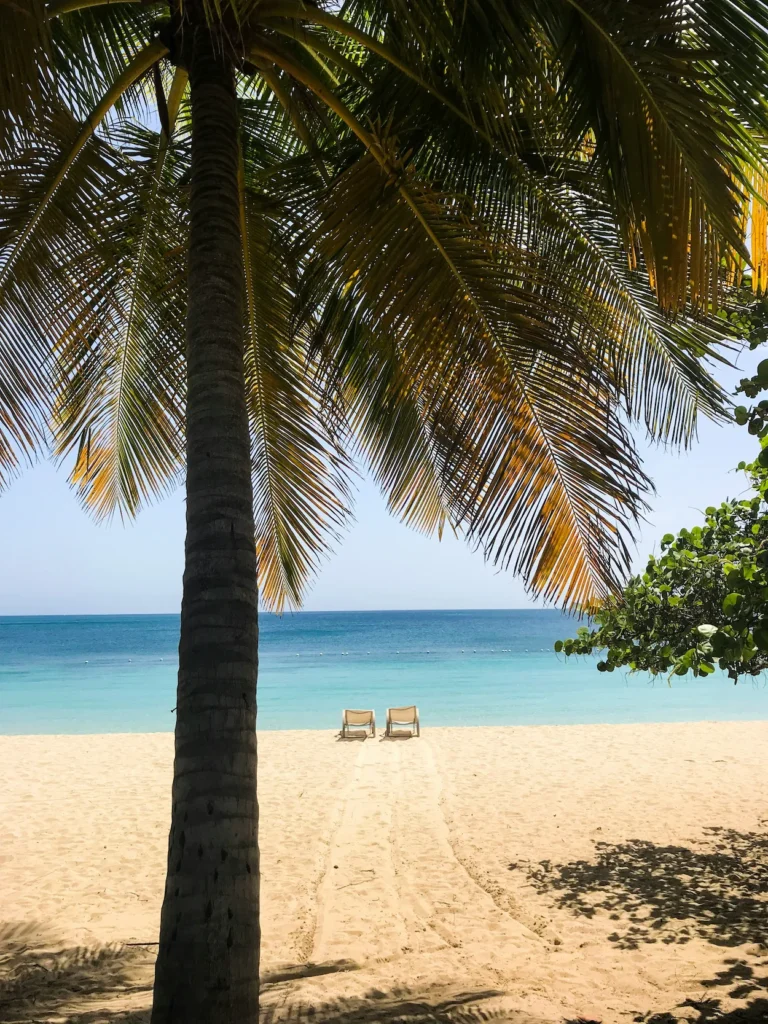 Two empty beach chairs on the sand under a large palm tree facing turquoise ocean water