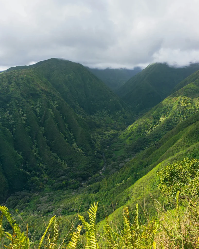 Deep green volcanic valleys under a cloudy sky on Maui