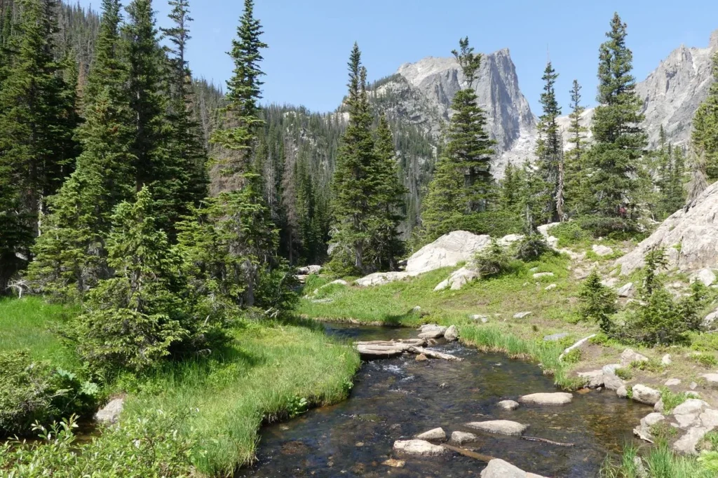 A shallow mountain stream flowing through pine trees toward Hallett Peak in Rocky Mountain National Park