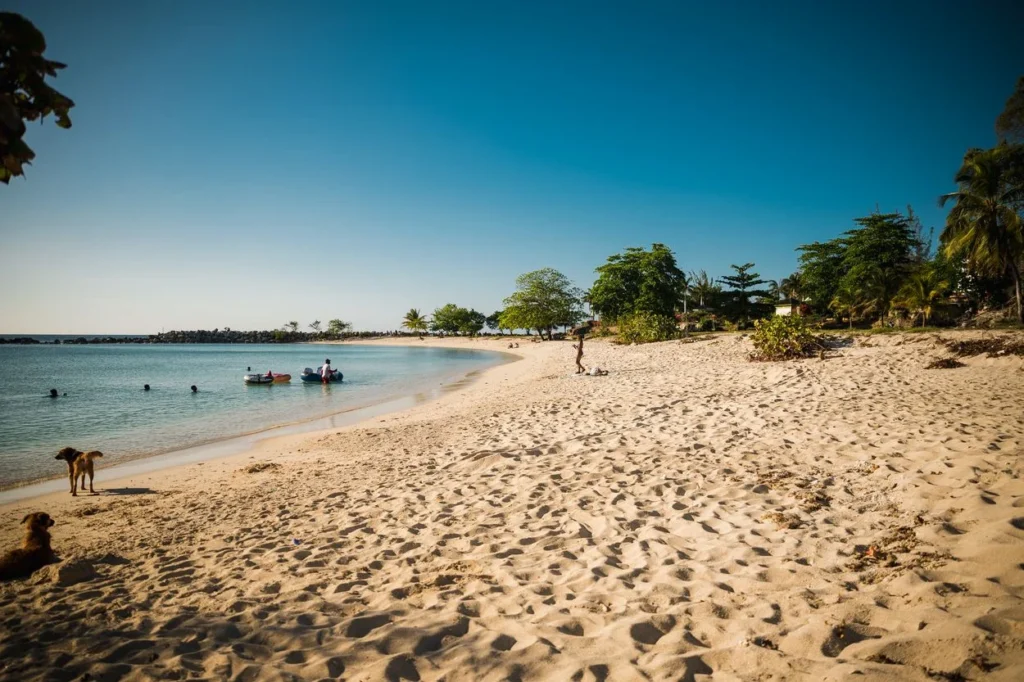 A sandy beach curve with trees and distant swimmers in Montego Bay
