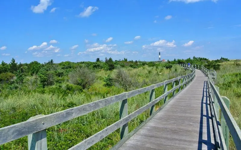 Boardwalk through grassy dunes leading to Fire Island Lighthouse.