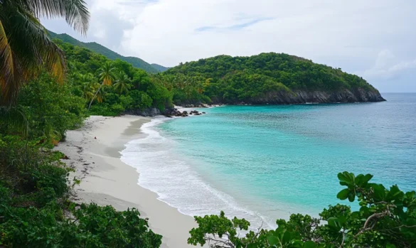 beautiful Caribbean beach