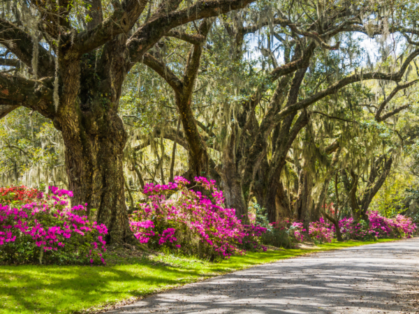 8 Amazingly Cheap Places to Fly in Spring 2026