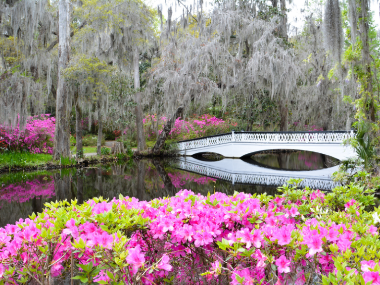 8 Amazingly Cheap Places to Fly in Spring 2026