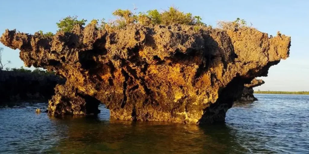 Zanzibar Island