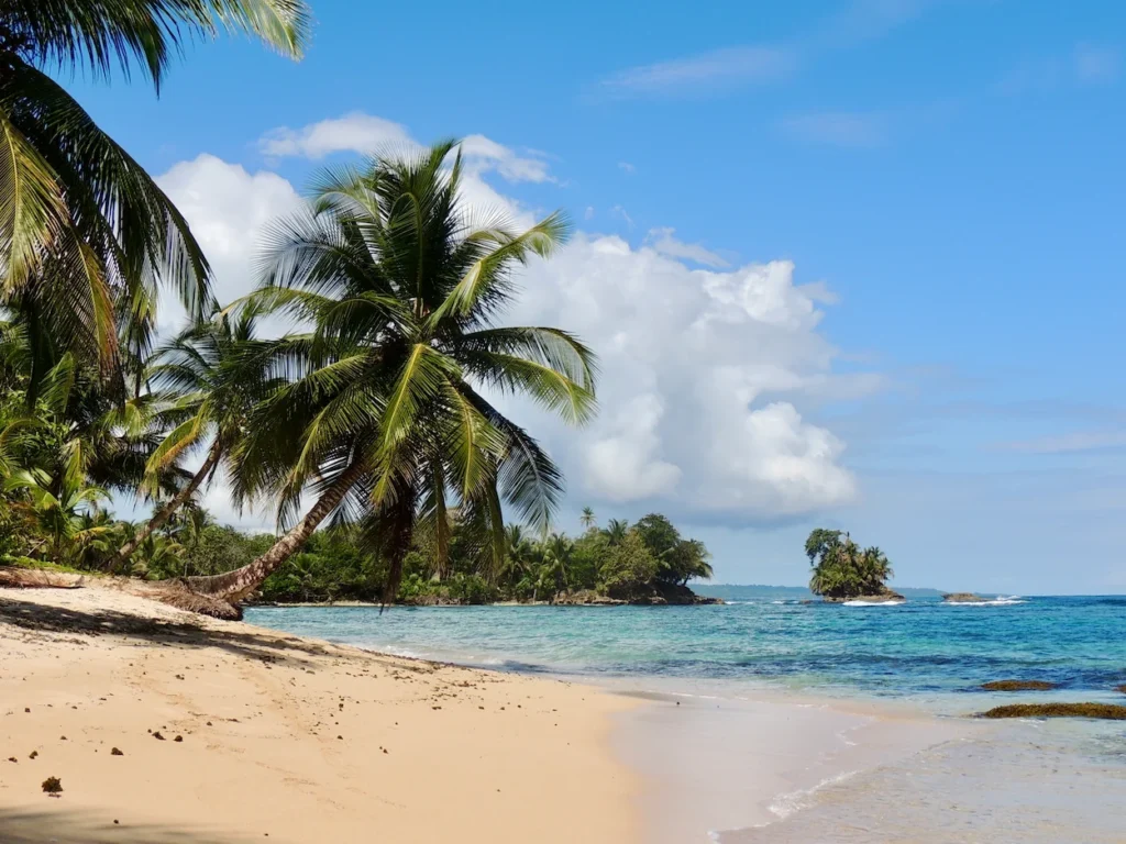 A leaning palm tree on a sandy beach looking out at turquoise ocean water and small green islands under a blue sky