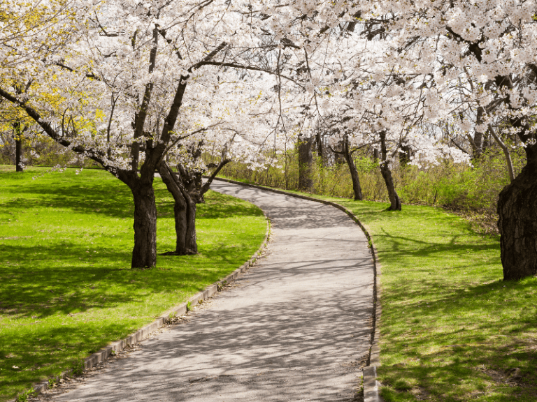 8 Amazingly Cheap Places to Fly in Spring 2026