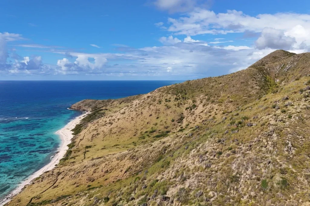 Elevated view of a grassy hillside above the white sand beach and turquoise reef at Isaac Bay, St. Croix