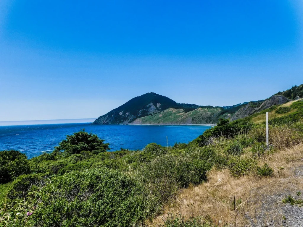 A view from a coastal roadside overlooking a deep blue ocean bay